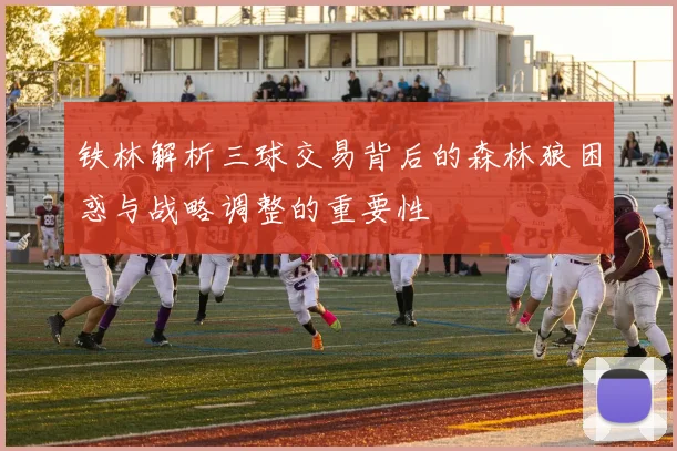 铁林解析三球交易背后的森林狼困惑与战略调整的重要性